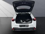 LEXUS UX 250h*F-SPORT-D.*1.HD*ALLW.REIF** 15J-GARANTIE