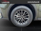 LEXUS NX 350 h 243 PS Executive Inter ieur Paket + Tec