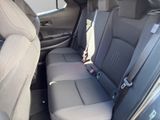 TOYOTA C-HR Hybrid FWD Teamplayer*TECHNIK*TOTW*CARPLAY*