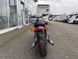 TRIUMPH Bonneville T120 MY25 inkl 1.000? Kundenvorteil