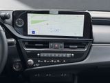 LEXUS ES 300 h Business Line *Leder*Schiebedach*