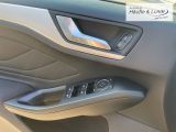 FORD Focus Turnier Cool & Connect Navi LED Apple CarPlay Android Auto Mehrzonenklima WLAN
