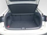 VW Taigo Goal 1.0 TSI SITZHZ+ACC+PDC+CARPLAY+KLIMA