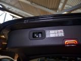 MERCEDES-BENZ C 220 d T 4M // AVANTGARDE DISTR SPUR AHK PDC