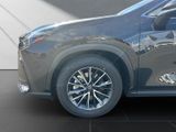 LEXUS NX 450h +EXECUTIVE+PANO+TECH-INTE-P 15J-GARANTIE