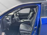 LEXUS UX 300h F-Sport E FOUR Schiebedach+360°+LEDER