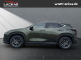 LEXUS NX 350 h 15 Jahre Garantie Exec utive + Interieu