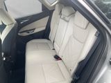 LEXUS NX 350h Executive Line Interieur+Technologie Pak
