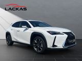 LEXUS UX 250 h*EXECUTIVE*HUD*LEDER*SCHIEBEDACH