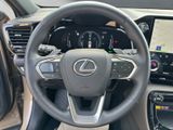 LEXUS NX 350h Overtrail E-FOUR PANORAMA+Trittbretter