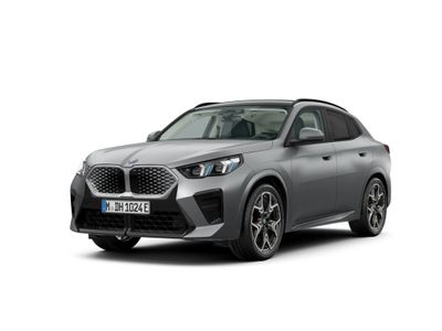BMW iX2 30 xDrive M Sport Park-Assistent ACC HUD SHZ