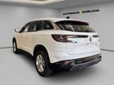 RENAULT Austral Evolution +Sitzheizung+ NP 36.490,-