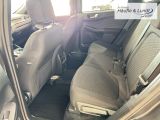 FORD Kuga Plug-In Hybrid ST-Line 360 Kamera Matrix-LED
