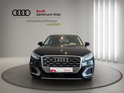 AUDI Q2 35 TFSI sport AHK LED Tempoamt PDC Sitzhz