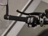 DUCATI Monster Rizoma KZH, Rizoma WSD