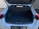 LEXUS UX 250h F-Sport Design CarPlay+NAVI+Sitzheizung