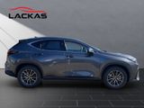 LEXUS NX 450h Executive, Interieur+Technologie Paket