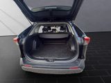 TOYOTA RAV 4 Hybrid Team Deutschland*Garantie* KAMERA