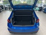 SKODA Fabia BlackEdition GV5/AppConnect/Kamera/SHZ/PDC