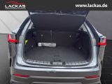 LEXUS NX 350h h 243 PS Executive Inter ieur Paket + Te