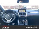 LEXUS NX 300 h E-Four F-Sport*CARPLAY *LEDER*LED*HUD*