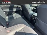 LEXUS RX 450 h +E-FOUR*F-SPORT*DESIGN *TOP*PANO*HUD*36