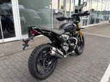 TRIUMPH Scrambler 400XC NEU! Sofort Verfügbar
