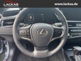 LEXUS ES 300 h*BUSINESS*SOFORT* TAXI-PAKET