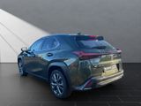 LEXUS UX UX250h*F-SPORT-D.*1HD*NAVI*SHZ 15J-GARANTIE*