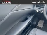 LEXUS RX 450 h+ F Sport Design Panoramaglasdach