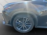 LEXUS NX 450h + LUXURY 4x4+HUD+SHZ hinten+NAVI+360CAM