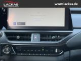 LEXUS UX 300h F-SPORT-D.*SOFORT *15JH-GARANTIE*