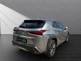 LEXUS UX 250h*EXECUTIVE*PREM* SCHIEBED.*15J-GARANTIE