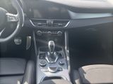 ALFA ROMEO MY 24 Sprint 2.0 Allrad AT ACC NAVI LED Matrix