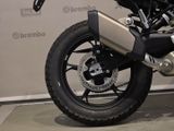 BMW F 450 GS DEAL-BOXENSTOP Exclusive Paket QS+ Fahrmodi Pro