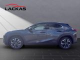 LEXUS UX 250 h Executive Line