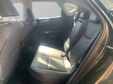 LEXUS NX 350h Executive Line 2.5*360° Kamera*Memorysit