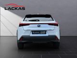 LEXUS UX 250h *lenkH*sitzH*Kamera*