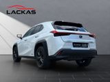 LEXUS UX 250h *lenkH*sitzH*Kamera*
