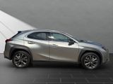LEXUS UX 250h*EXECUTIVE*PREM* SCHIEBED.*15J-GARANTIE