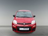 FIAT New Panda Pandina Pop 1.0 GSE 65 PS Klima el. FH Servo Kopf & Seiten Airbag