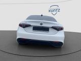 ALFA ROMEO Giulia Tributo Italiano 2.2D Technologie-Paket
