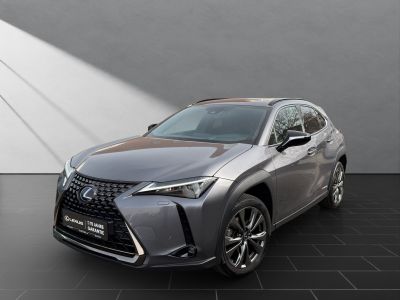 LEXUS UX 250H*SCHECKHEFT*TOTW*LEDER*
