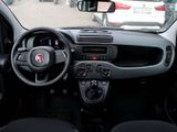 FIAT New Panda Pandina Pop