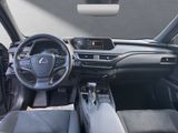 LEXUS UX 250 h Executive Line