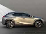LEXUS UX 250h Style Edition SITZ&LENKRADHEIZUNG+DAB