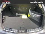 LEXUS NX 350h h 243 PS ** 15 Jahre Gar antie ** Sitzkl