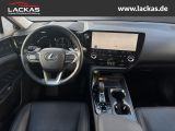 LEXUS NX 350 h Executive *HUD*SHZ*MEM NX (AZ20) 350 h
