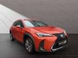 LEXUS UX 250h*F-SPORT-D*1.HD*ALLW.REIF*SHZ* NAVI*CARP*