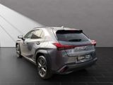 LEXUS UX 250H*SCHECKHEFT*TOTW*LEDER*
